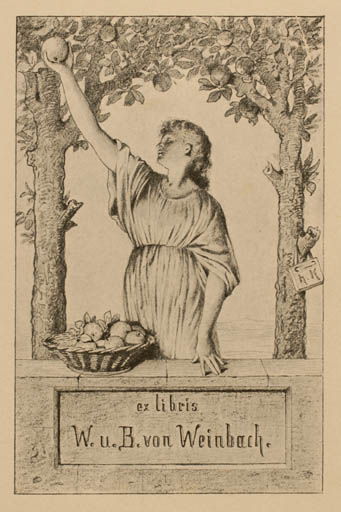 Exlibris by Hermann Kaulbach from Germany for W. u. B. Weinbach - Fruit Woman 