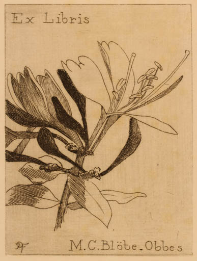 Exlibris by Joan francois Obbes from Netherland for M. C. Blöbe-Obbes - Flower 