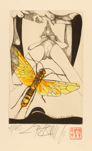 Exlibris by Leo Bednarik from Slovak Republic for Klaus Rödel - Erotica Insect Woman Nude 