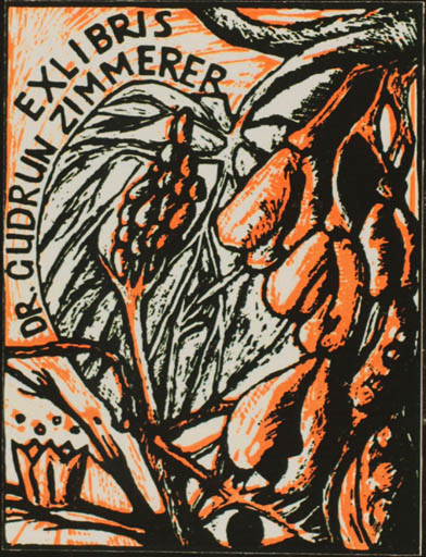 Exlibris by Annette Fritzsch from Germany for Dr. Gudrun Zimmerer - Flora 