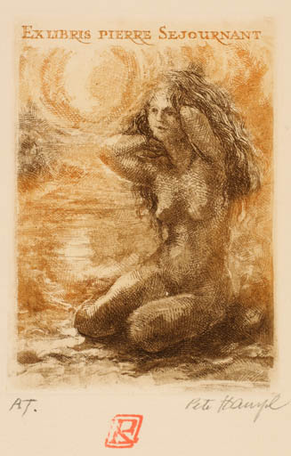 Exlibris by Petr Hampl from Czech Republic for Pierre Sejournant - Woman Nude Sun 