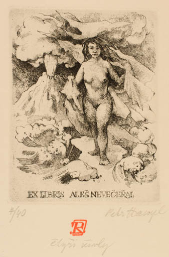 Exlibris by Petr Hampl from Czech Republic for Ales Neveceral - Mountain Woman Nude 