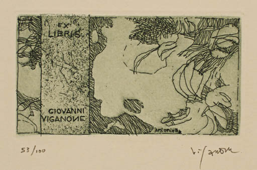 Exlibris by Antonietta Vigannone from Italy for Giovanni Vigannone - Abstract 