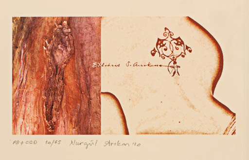 Exlibris by Nurgül Arikan from Turkey for Soykan Arikan - Abstract 