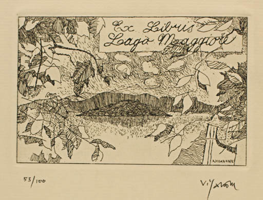 Exlibris by Antonietta Vigannone from Italy for Lago Maggiore - Mountain Flora Scenery/Landscape 