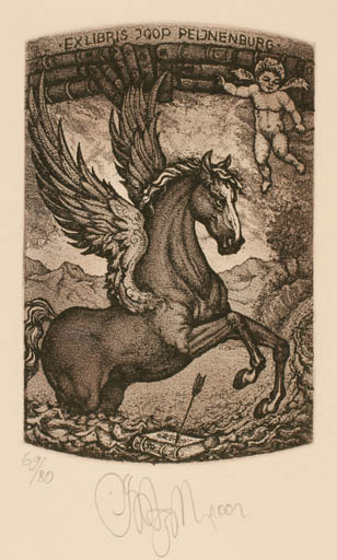 Exlibris by Ruslan Agirba from Russia for Joop Peijnenburg - Book Angel Pegasus 