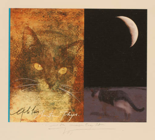 Exlibris by Martin R. Baeyens from Belgium for Anita Thys - Cat 