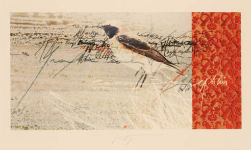 Exlibris by Martin R. Baeyens from Belgium for ? ? - Bird 