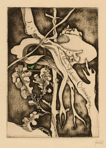 Exlibris by Grazina Didelyte from Lithuania for Valeriyos Osbrauskienis - Abstract 