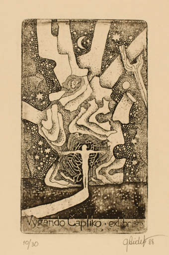 Exlibris by Grazina Didelyte from Lithuania for ygando Capliko - Abstract 