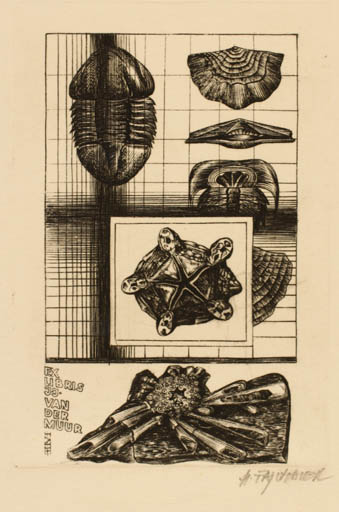 Exlibris by Henryk Feilhauer from Poland for J. J. van der Muur - Insect 