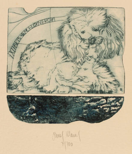 Exlibris by Pavel Hlavaty from Czechoslovakia for D.M. Elcknerovi - Dog 