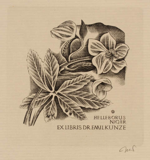 Exlibris by Wojciech Jakubowski from Poland for Dr. Emil Kunze - Flower 