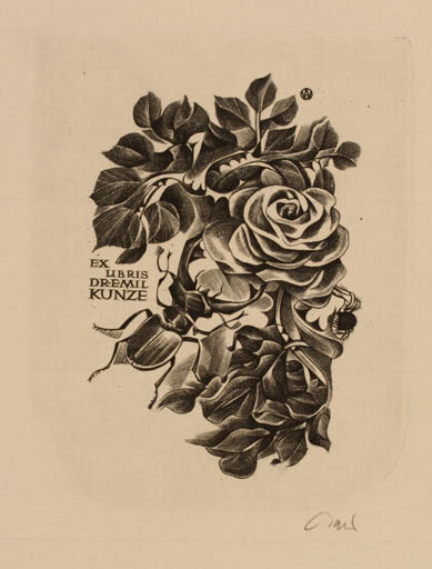 Exlibris by Wojciech Jakubowski from Poland for Dr. Emil Kunze - Flower Insect 