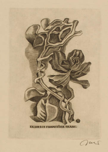 Exlibris by Wojciech Jakubowski from Poland for Frantisek Franc - Flower 