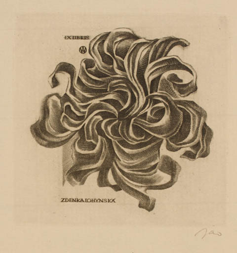 Exlibris by Wojciech Jakubowski from Poland for Zdenka Lohynska - Flora 