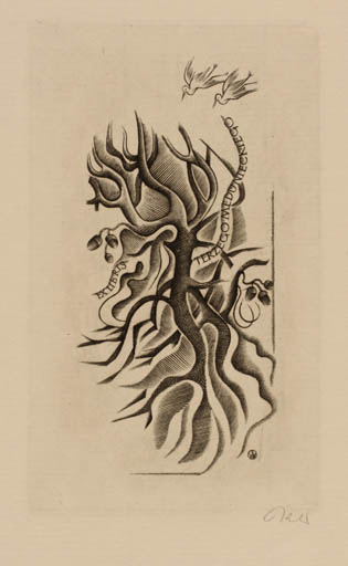 Exlibris by Wojciech Jakubowski from Poland for Terzego Medunieckiego - Bird Tree 