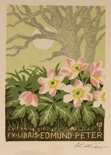 Exlibris by Edmund Peter from Denmark for ? Ipse - Flower Tree 