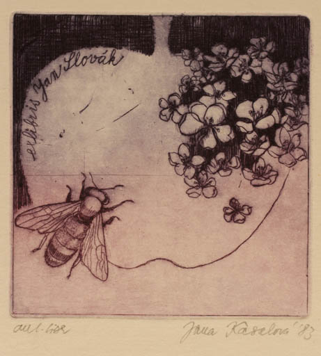 Exlibris by Jana Kasalova from Czech Republic for Jan Slovak - Flower Fruit Insect 