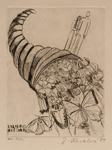 Exlibris by Jana Kasalova from Czech Republic for M. Tesina - Flower Insect Couple Butterfly 