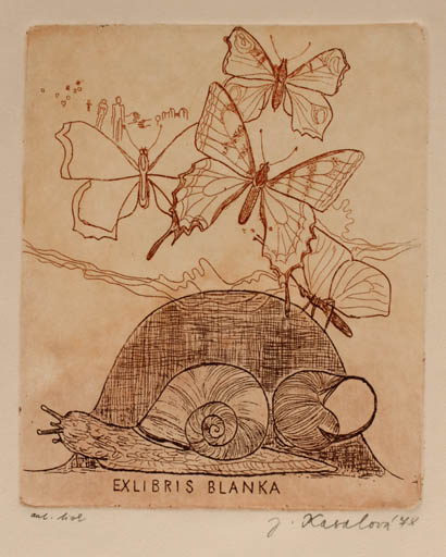 Exlibris by Jana Kasalova from Czech Republic for ? Blanka - Insect Butterfly 