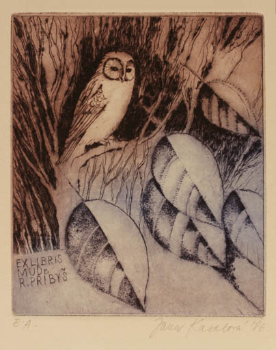 Exlibris by Jana Kasalova from Czech Republic for Dr. Rudolf Pribys - Flora Owl 