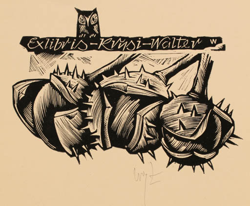 Exlibris by Wojciech Luczak from Poland for Rvunsi Walter - Flora Owl 