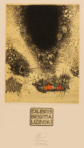 Exlibris by Detlef Olschewski from Germany for Brigitta Lizinski - Abstract 