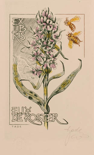 Exlibris by Tadeusz Szumarski from Poland for Elly de Koster - Flower Insect 