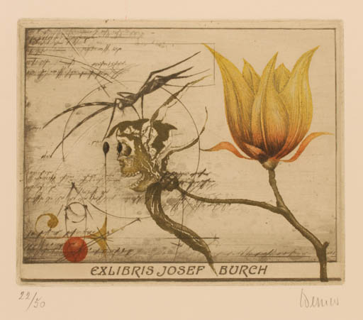 Exlibris by Josef Werner from Germany for Ing. Josef Burch - Flower Insect Surrealism 