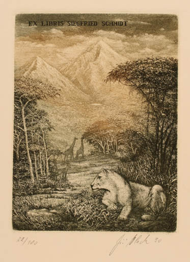 Exlibris by Jiri Vlach from Czechoslovakia for Siegfried Schmidt - Mountain Fauna Scenery/Landscape 