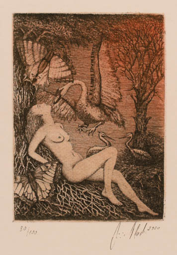 Exlibris by Jiri Vlach from Czechoslovakia for Edvin Smits - Leda and the Swan Butterfly 