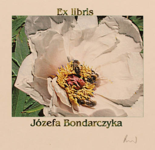 Exlibris by Rajmund Aszkowski from Poland for Jozefa Bondarczyka - Flower Insect 