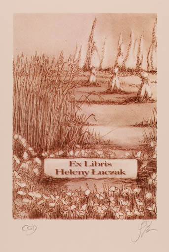 Exlibris by Katarzyna Barsczak from Poland for Heleny Luczak - Flora Scenery/Landscape 