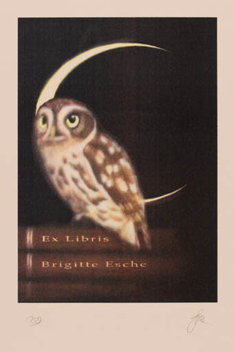 Exlibris by Katarzyna Barsczak from Poland for Brigitte Esche - Book Owl 