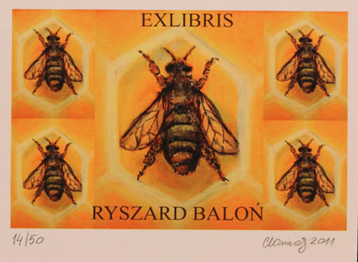 Exlibris by Karina - Kopczynska Janiszewska from Poland for Ryszard Balon - Insect 