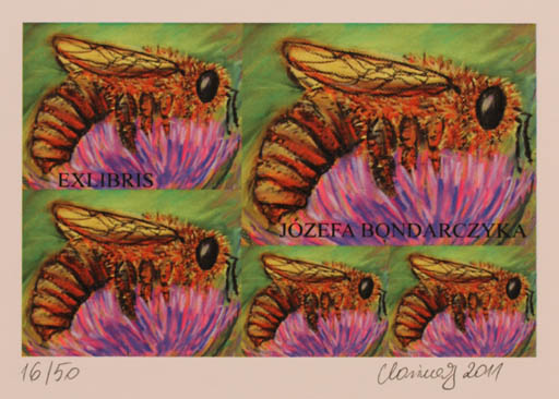 Exlibris by Karina - Kopczynska Janiszewska from Poland for Jozefa Bondarczyka - Flower Insect 