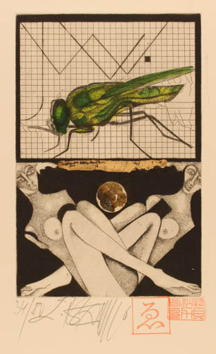 Exlibris by Leo Bednarik from Slovak Republic for . W. - Insect Woman 