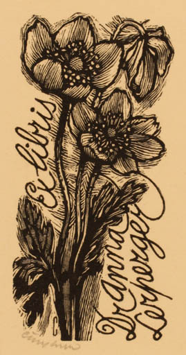 Exlibris by Vojtech Cinybulk from Czechoslovakia for Dr. Anna Lerperger - Flower Flora 