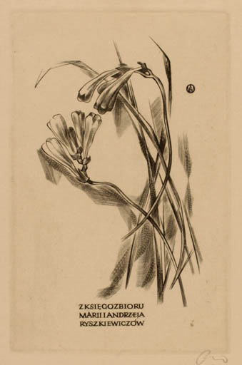 Exlibris by Wojciech Jakubowski from Poland for ? ? - Flower Flora 