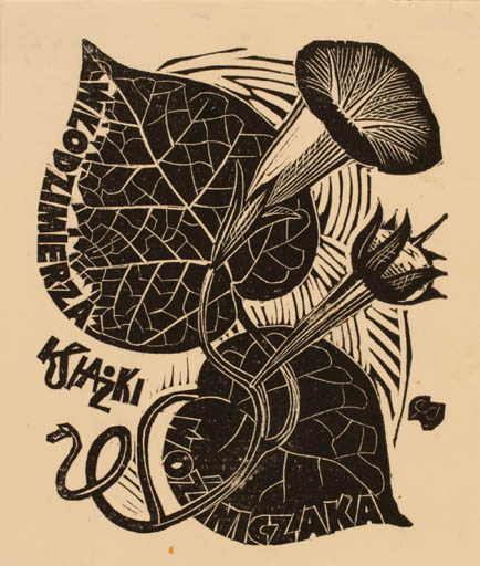 Exlibris by Edward Grabowski from Poland for ? ? - Flower Flora 