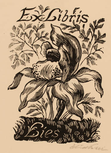 Exlibris by Edmund Peter from Denmark for Elisabeth Peter - Flower Flora 