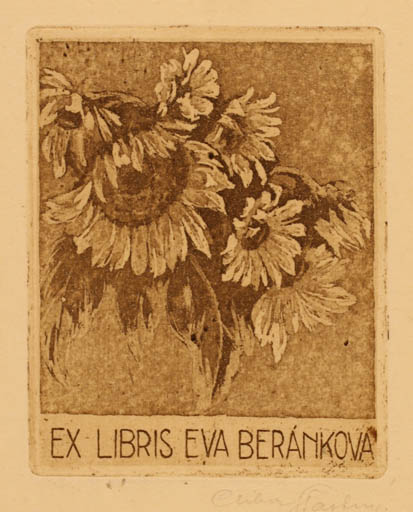 Exlibris by Ctibor Stastny from Czechoslovakia for Eva Berankova - Flower Flora 