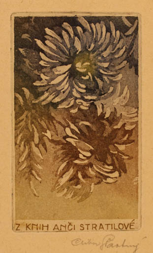 Exlibris by Ctibor Stastny from Czechoslovakia for Anci Stratilove - Flower Flora 