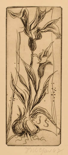 Exlibris by Jaroslav Sulc from Czechoslovakia for Jaroslav Sulc - Flower Flora 