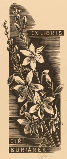 Exlibris by Josef Weiser from Czechoslovakia for Jiri Buriánek - Flower Flora 