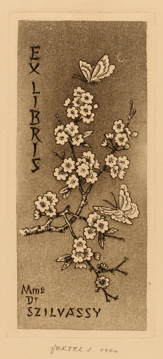 Exlibris by Jòszef Vertel from Hungary for Mme. Szilvassy - Flower Flora 