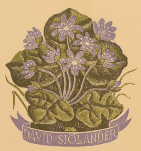 Exlibris by Harald Sallberg from Sweden for David Sjölander - Flower Flora 