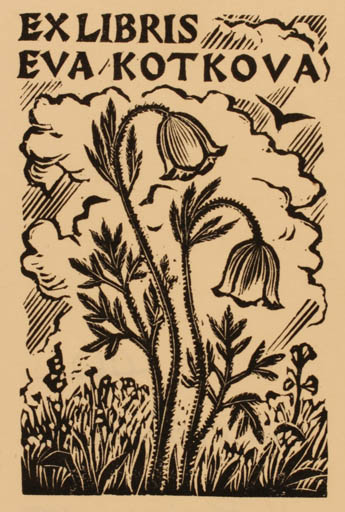 Exlibris by Michal Florian from Czechoslovakia for Eva Kotkova - Flower Flora 