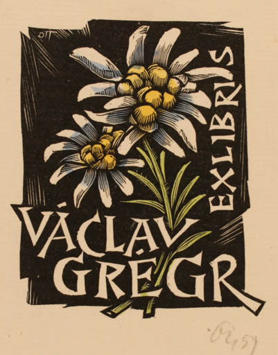 Exlibris by Herbert S. Ott from Germany for Vaclav Gregr - Flower Flora 